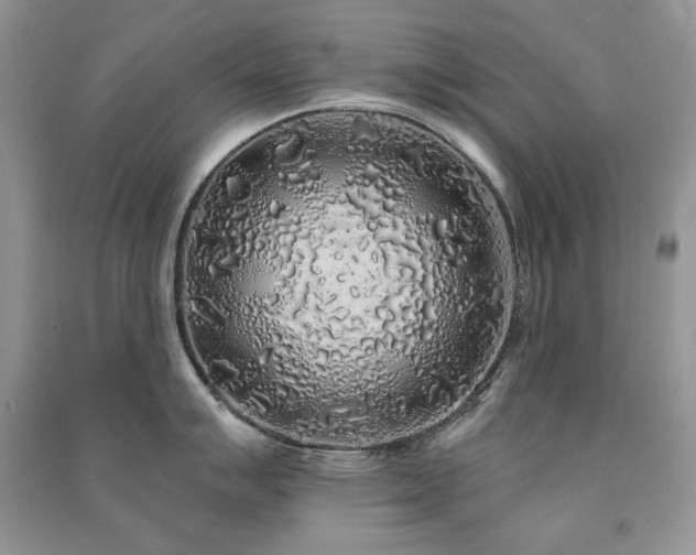 X0000091211007200708091343