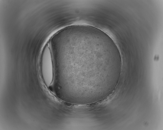 X0000091211008200708091343
