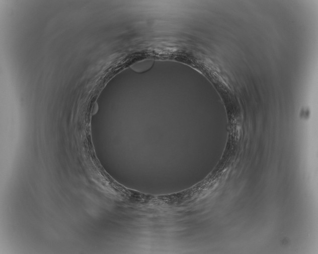 X0000091211009200708091343
