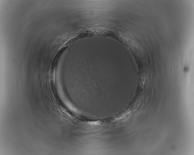 X0000091211010200708091343