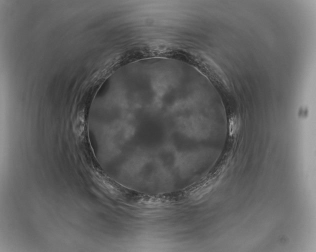 X0000091211011200708091343