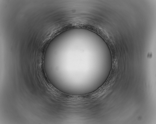 X0000091211012200708091343