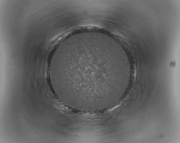 X0000091211014200708091343