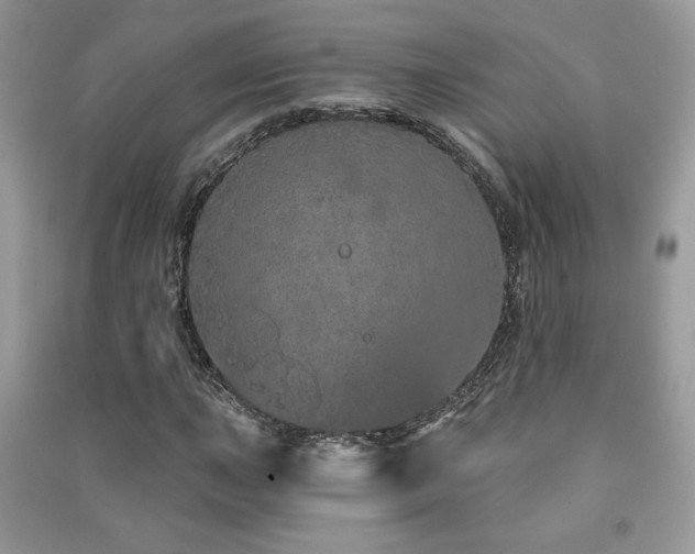 X0000091211015200708091343