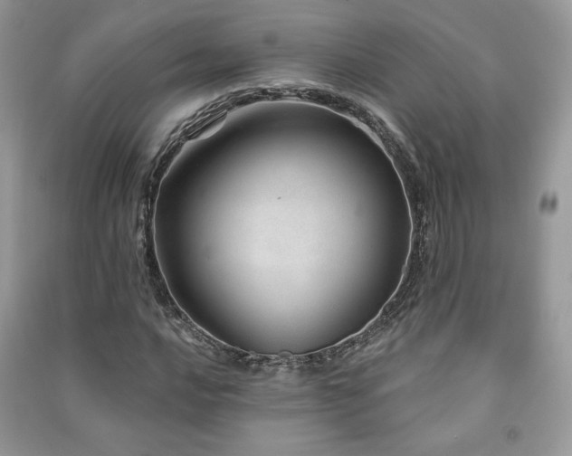 X0000091211016200708091343