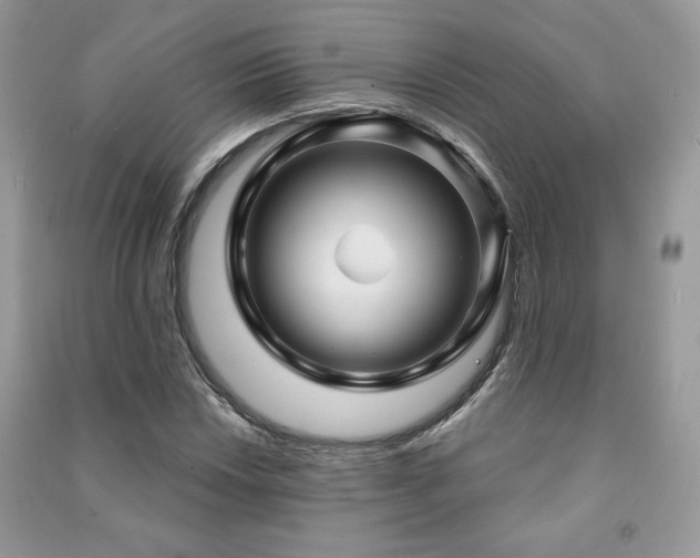 X0000091211018200708091343