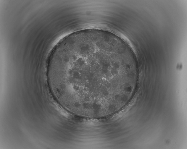 X0000091211019200708091343