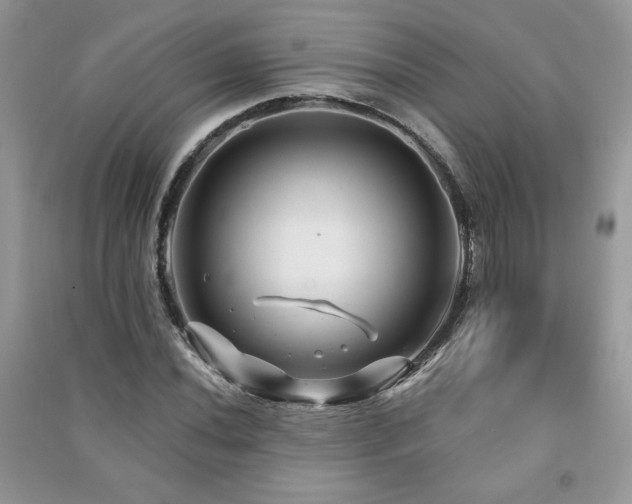 X0000091211020200708091343