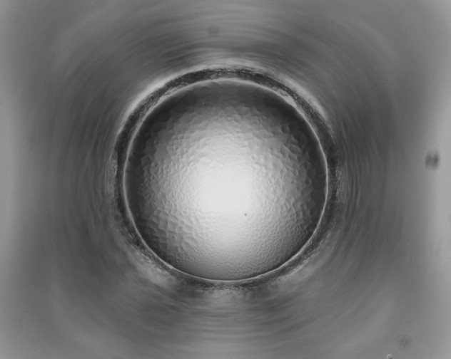 X0000091211021200708091343