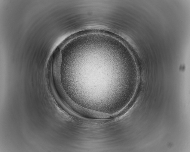 X0000091211022200708091343
