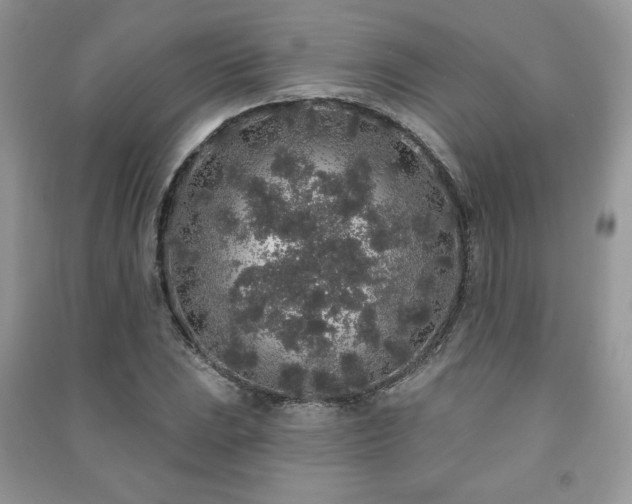 X0000091211023200708091343