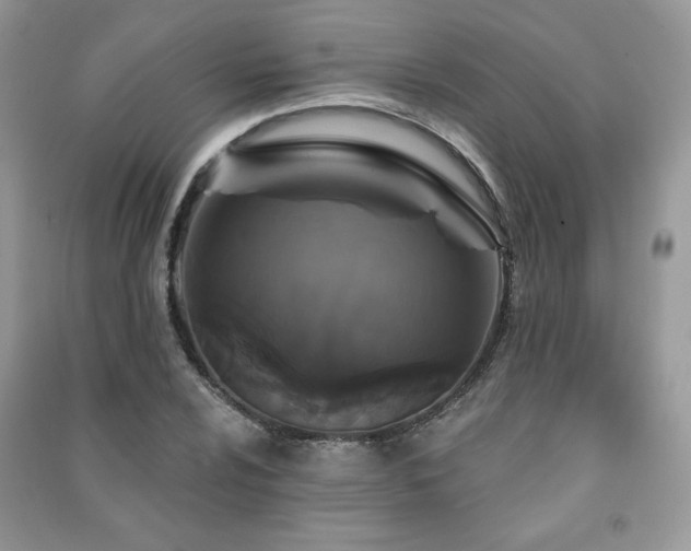 X0000091211024200708091343