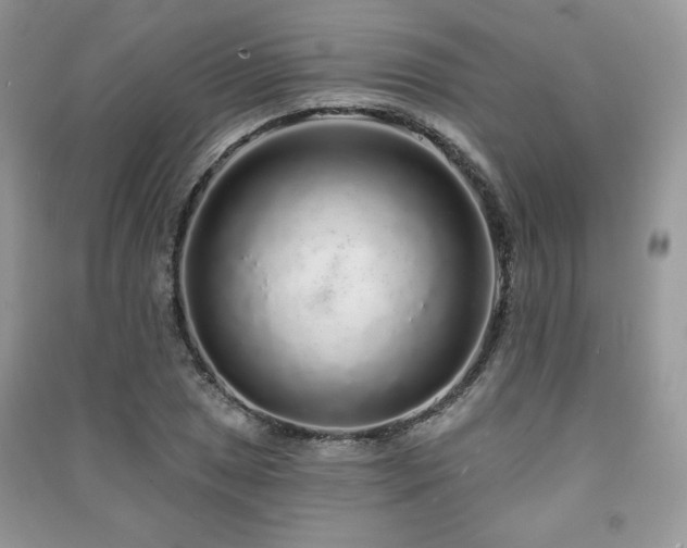 X0000091211025200708091343