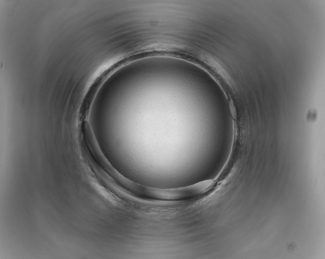 X0000091211026200708091343