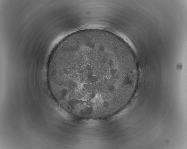 X0000091211027200708091343