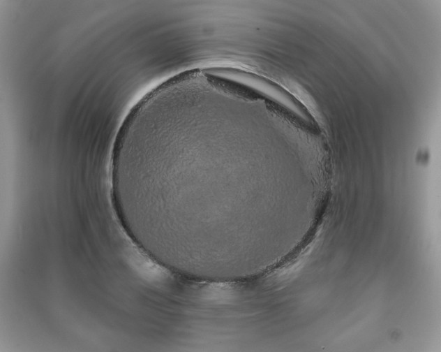 X0000091211028200708091343