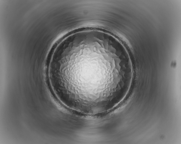 X0000091211029200708091343