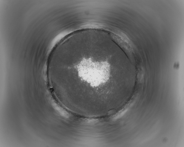 X0000091211030200708091343