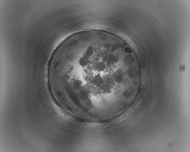 X0000091211031200708091343