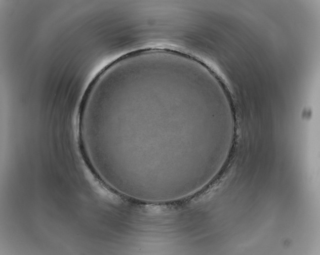 X0000091211032200708091343