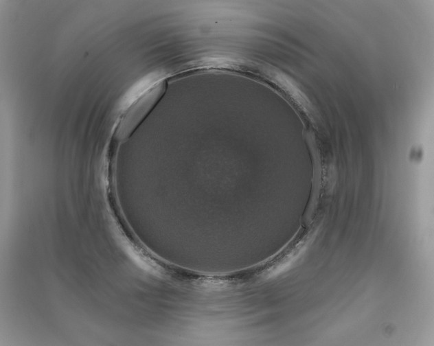 X0000091211034200708091343