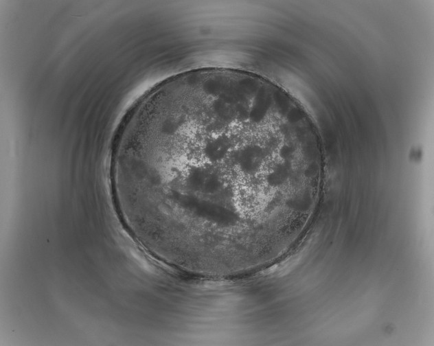 X0000091211035200708091343