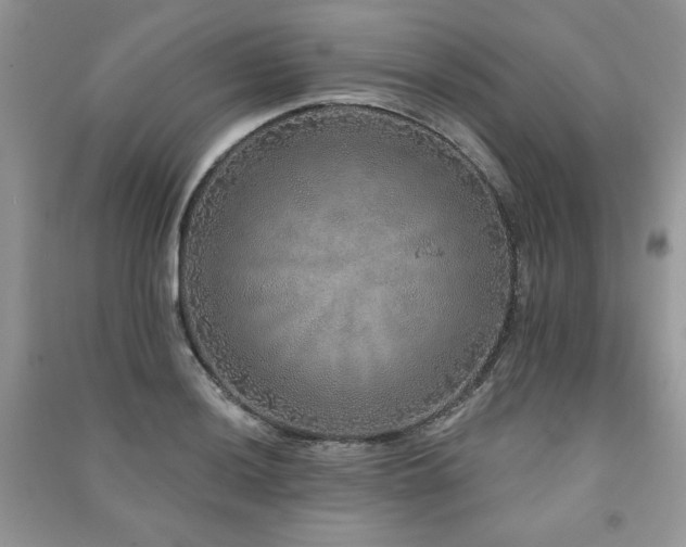 X0000091211036200708091343