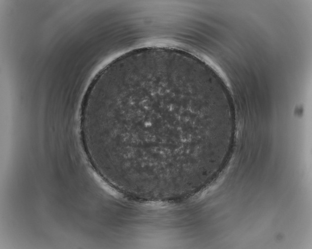 X0000091211037200708091343