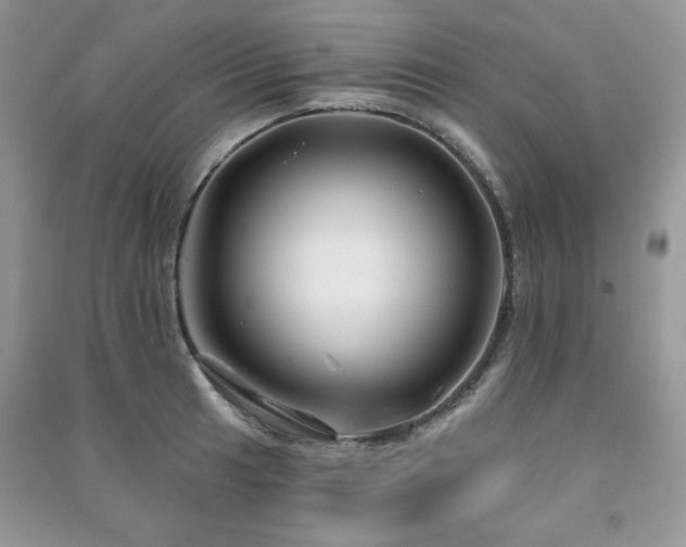 X0000091211041200708091343