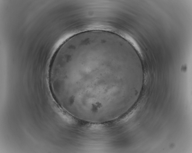 X0000091211043200708091343