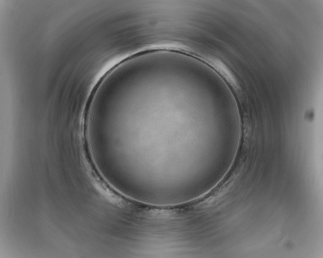 X0000091211044200708091343