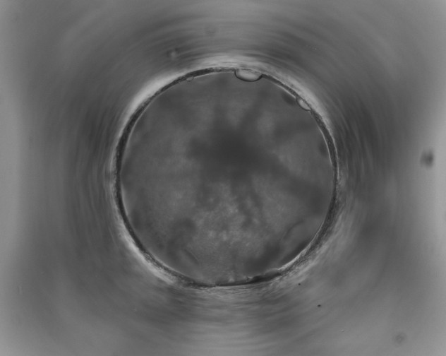 X0000091211045200708091343