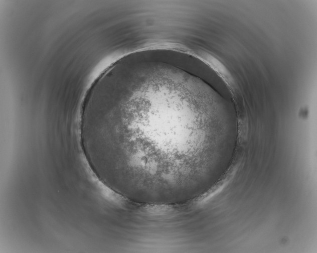 X0000091211046200708091343