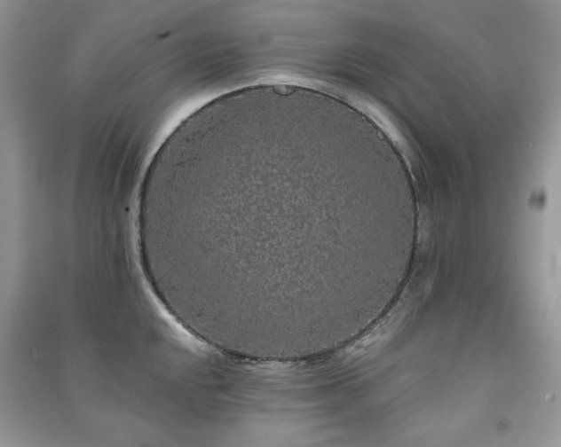 X0000091211048200708091343