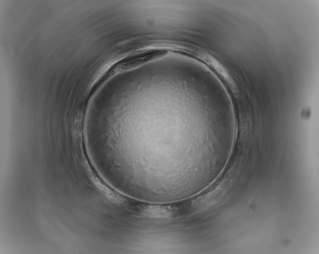 X0000091211049200708091343