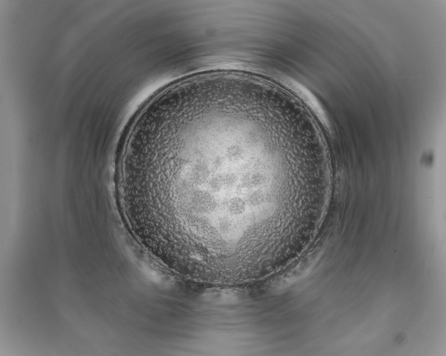 X0000091211051200708091343