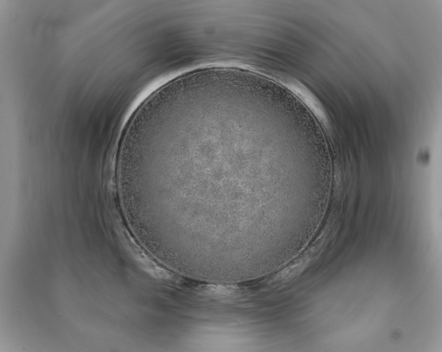 X0000091211052200708091343