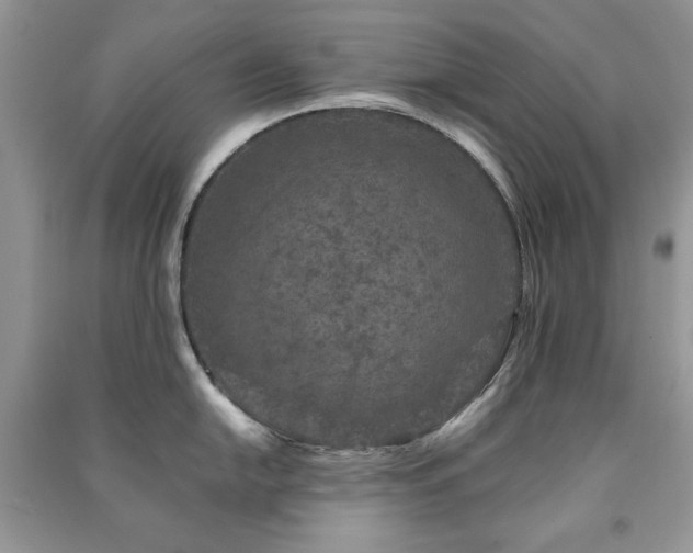 X0000091211054200708091343