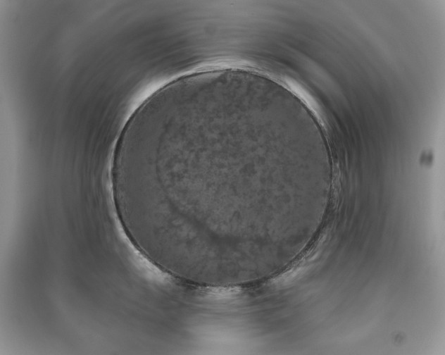 X0000091211055200708091343