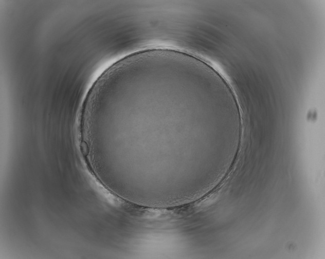 X0000091211056200708091343