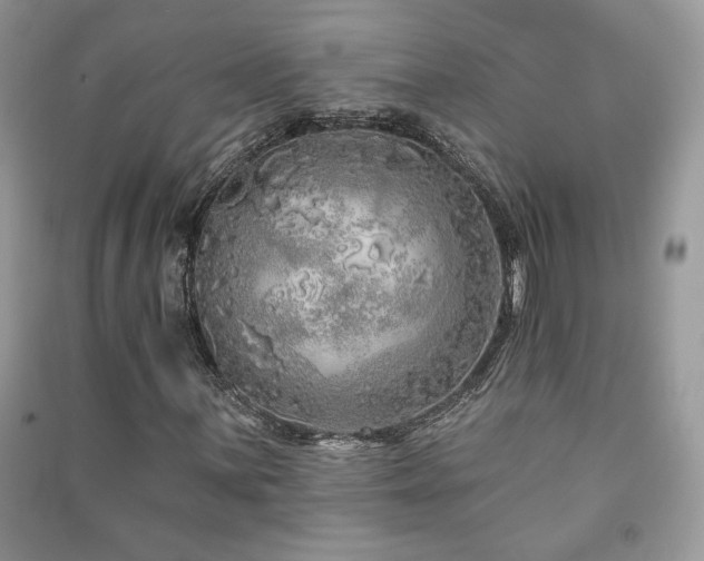 X0000091211059200708091343