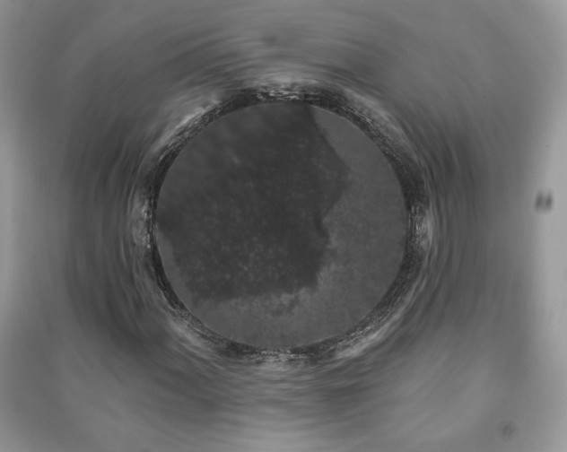 X0000091211060200708091343