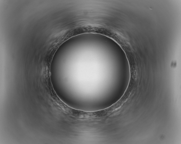 X0000091211061200708091343