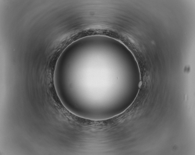 X0000091211062200708091343