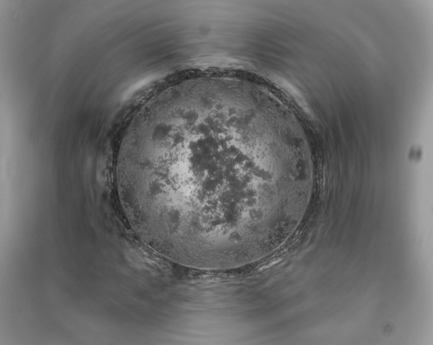 X0000091211063200708091343