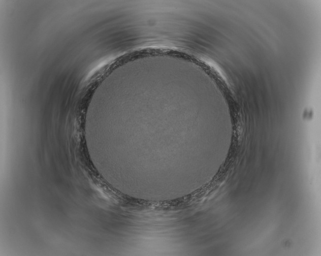 X0000091211064200708091343