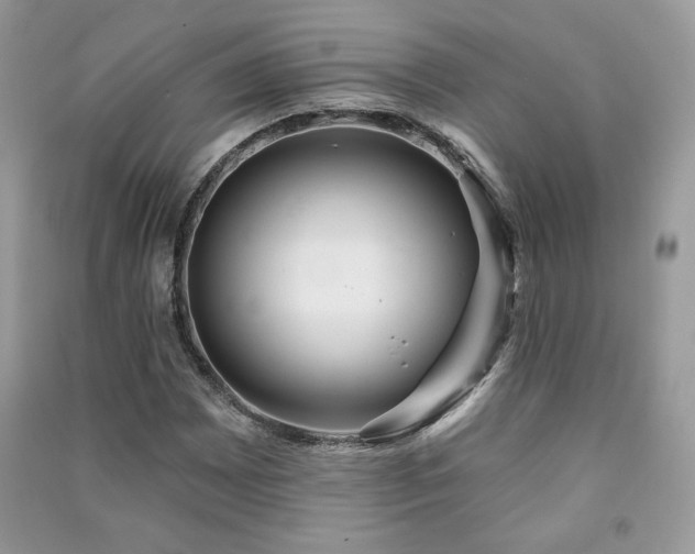 X0000091211065200708091343