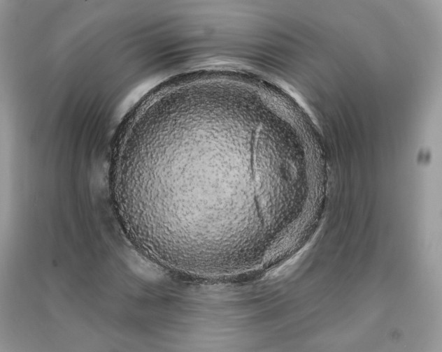 X0000091211066200708091343