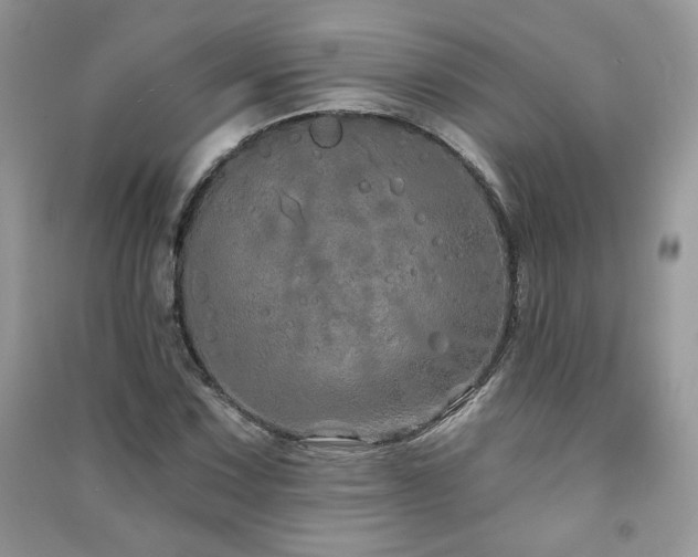 X0000091211067200708091343