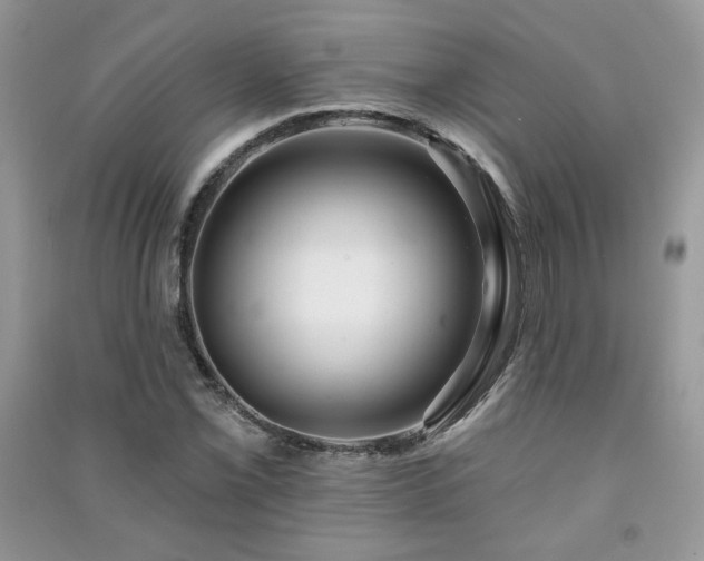 X0000091211069200708091343